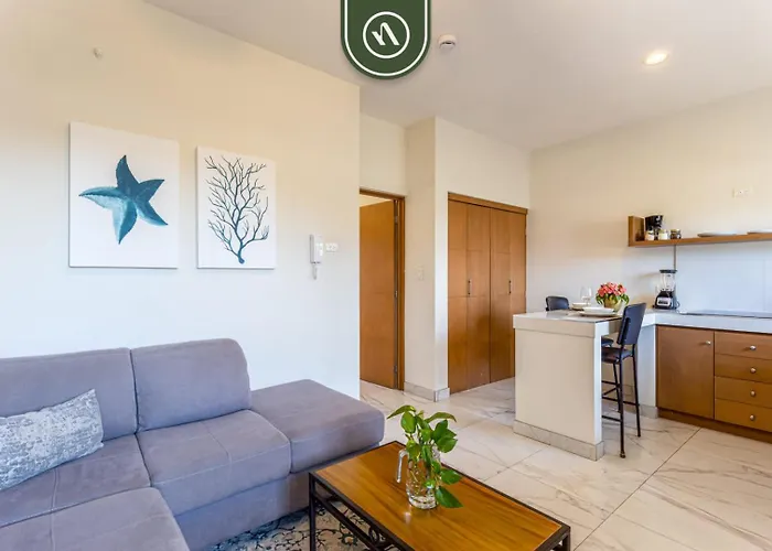 Ferienhaus Centric 1br In Downtown Cabo - Rooftop Pool