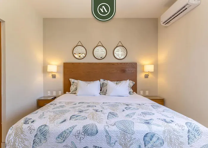 Ferienhaus Centric 1br In Downtown Cabo - Rooftop Pool *